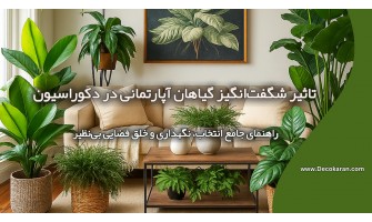 تاثیر شگفت‌انگیز گیاهان آپارتمانی در دکوراسیون