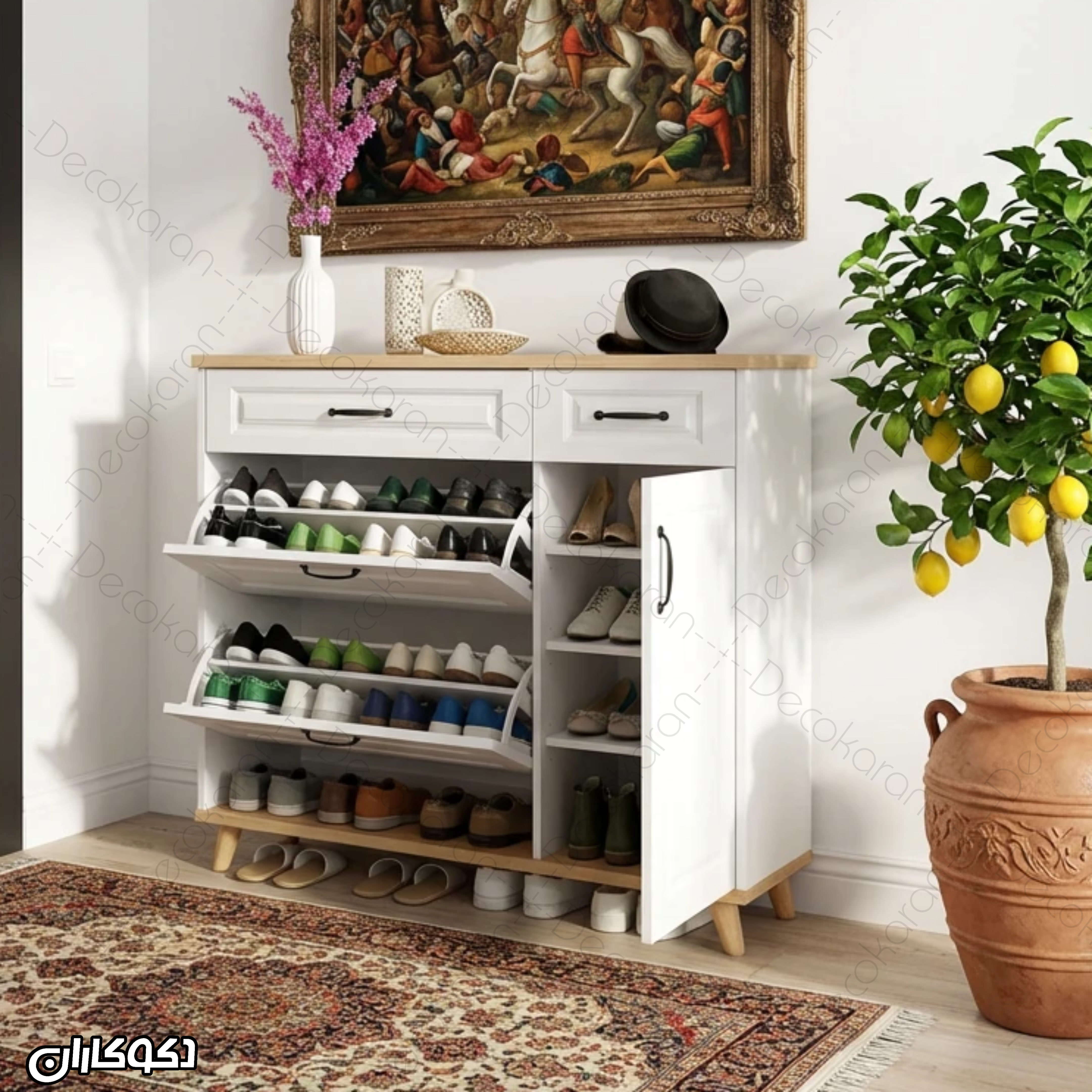 نمای کنار و عمق کم جاکفشی